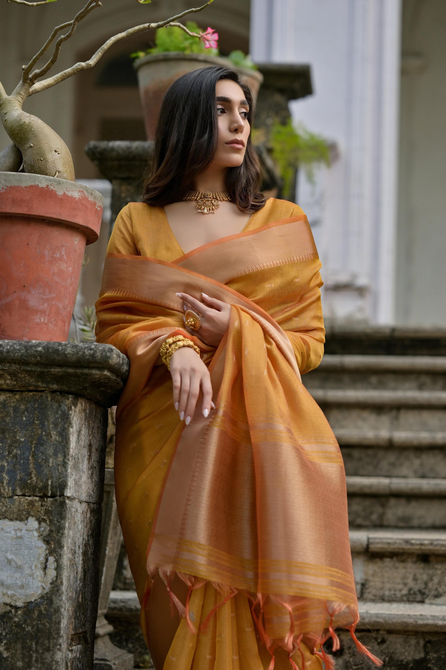 Premium Soft Silk Saree with Zari Weaving
