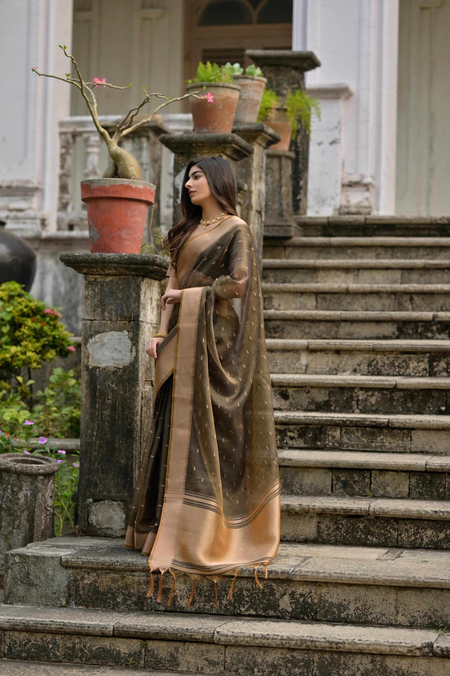 Premium Soft Silk Saree with Zari Weaving