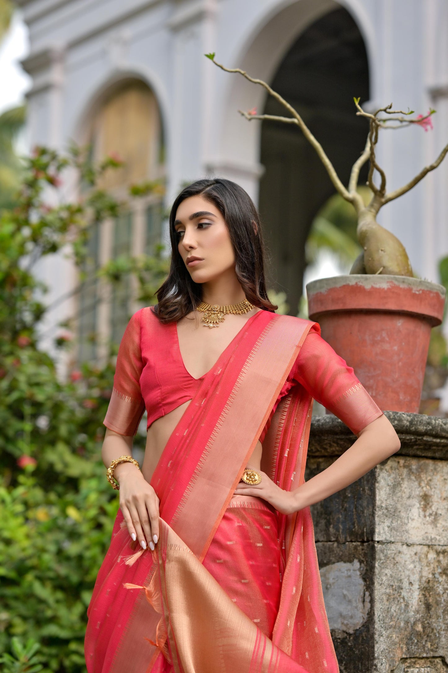 Premium Soft Silk Saree with Zari Weaving