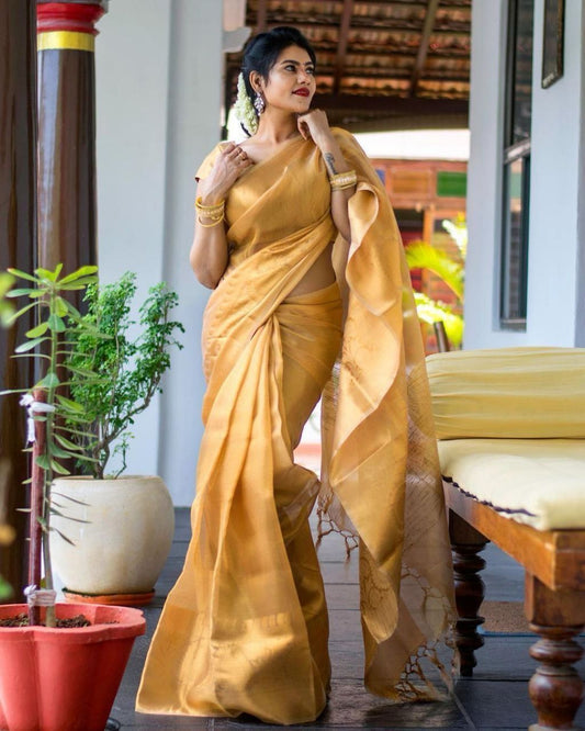 Noor – Soft Kota Tissue Silk Saree with Jacquard Work